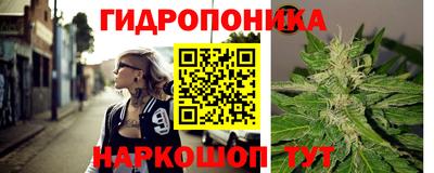 винт Канаш